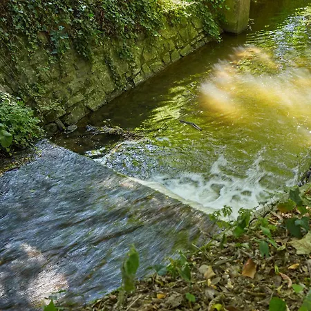Marienau Tagungs- Und Gaestehaus, Spiritueller Flair Am Wallfahrtsort Schoenstatt 3*